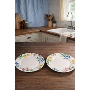 Vintage Majesticware Geranium Dessert Plates Set of 2 Sue Zipkin 8 Inch